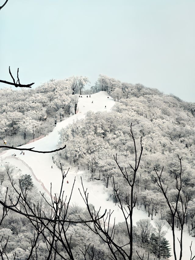 北大湖溜冰場