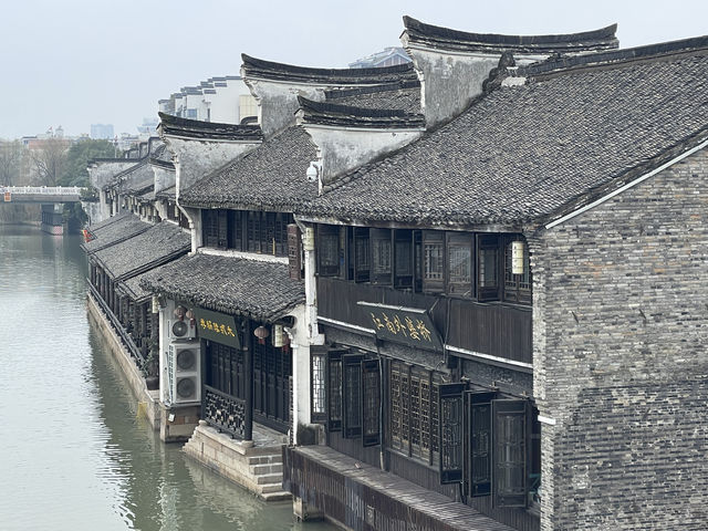 嘉興｜月河歷史街區，居然還有花鳥市場可以逛