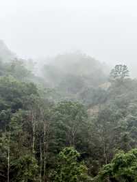 雲霧繚繞北雁蕩   仙俠意趣撲面來