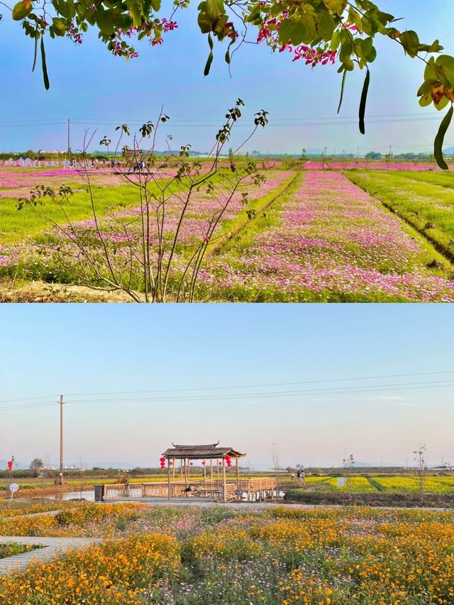 江門|新會石板沙疍家風情島