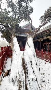 雪中晉祠的小確幸