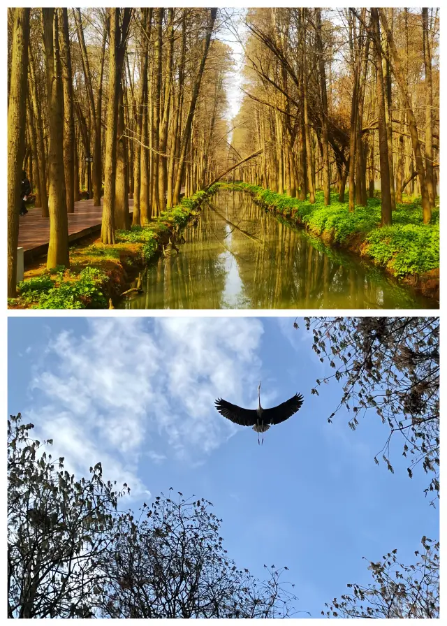 태주｜수상 숲에서 마음껏 산소를 흡수하세요