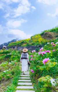 偶遇滿山的牡丹花正值花期~叢林探險親子出行