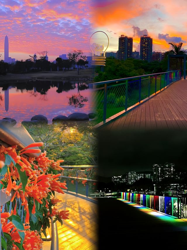 深圳最浪漫公園，一年四季有花海
