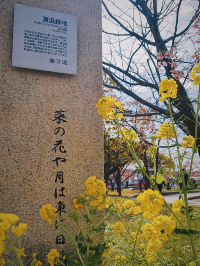 春日賞景正當時，滿園春色神戶港