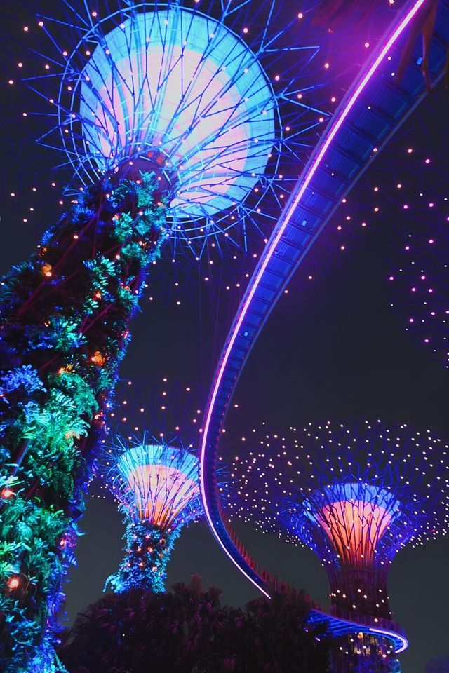 世界上最大的溫室花穹——濱海灣花園