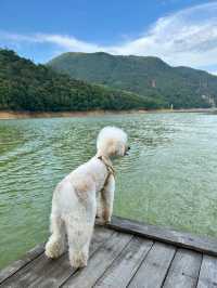 打卡永安龍頭國家濕地公園