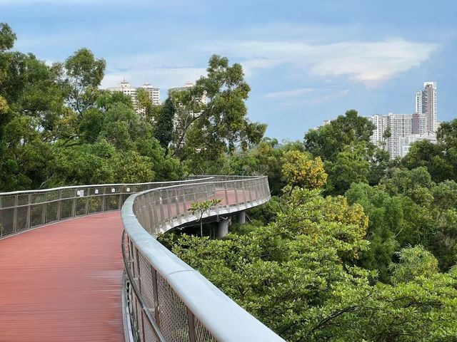 南嶽古鎮行（五）：香山雲道（大鏡山段）