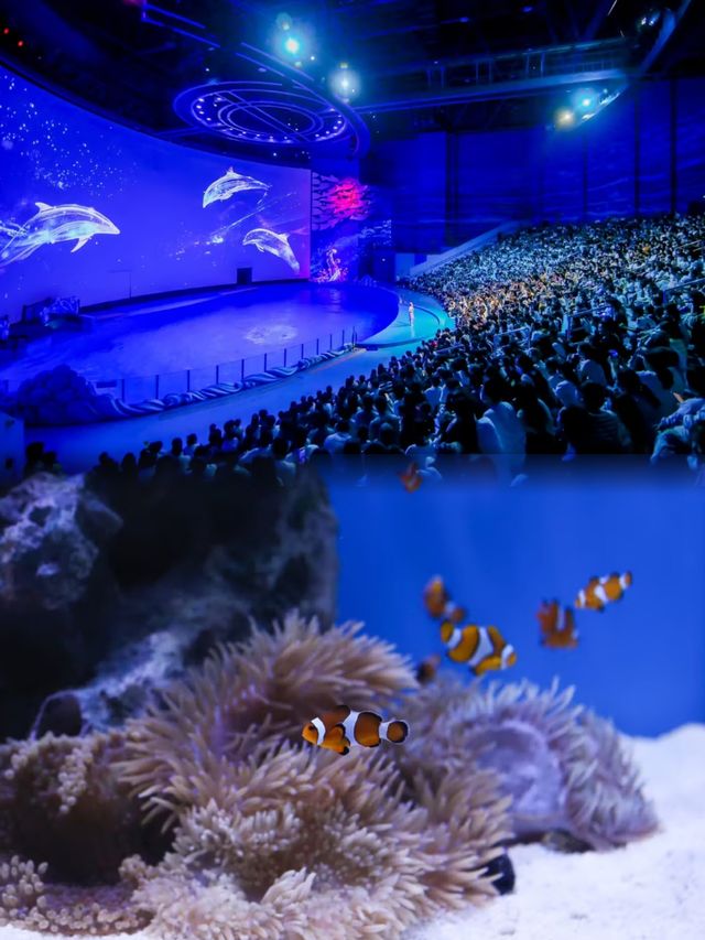 重慶一個可以看海洋動物玩娛樂項目的海洋館