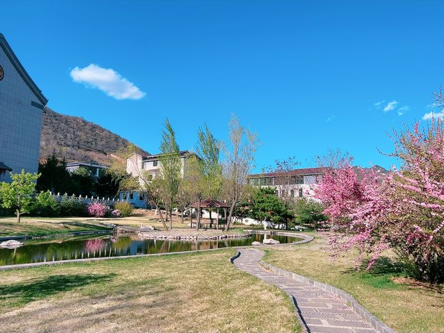 這麼近，那麼美
