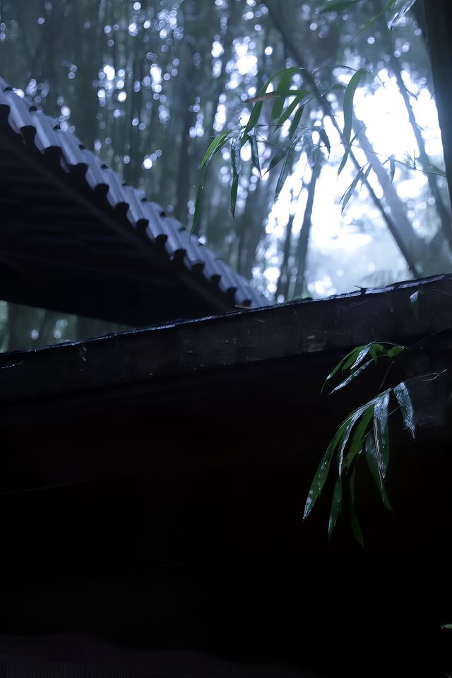 陰雨天的洞庭仙境