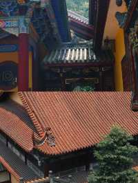 比起文殊院，我更愛這座地鐵直達的百年寺廟