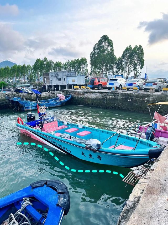 陵水富力灣|不過百就能實現帆船出海