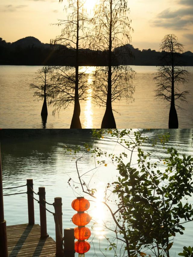 肇慶|濕地公園