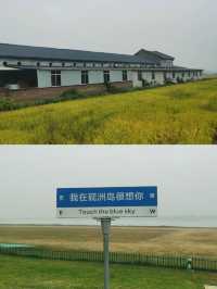 肇慶|硯洲島