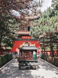 遼北佛教聖地，明月禪寺