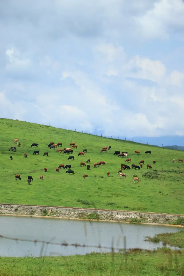 Arriving at a place that is no less spectacular than the 'Altai' of my dreams