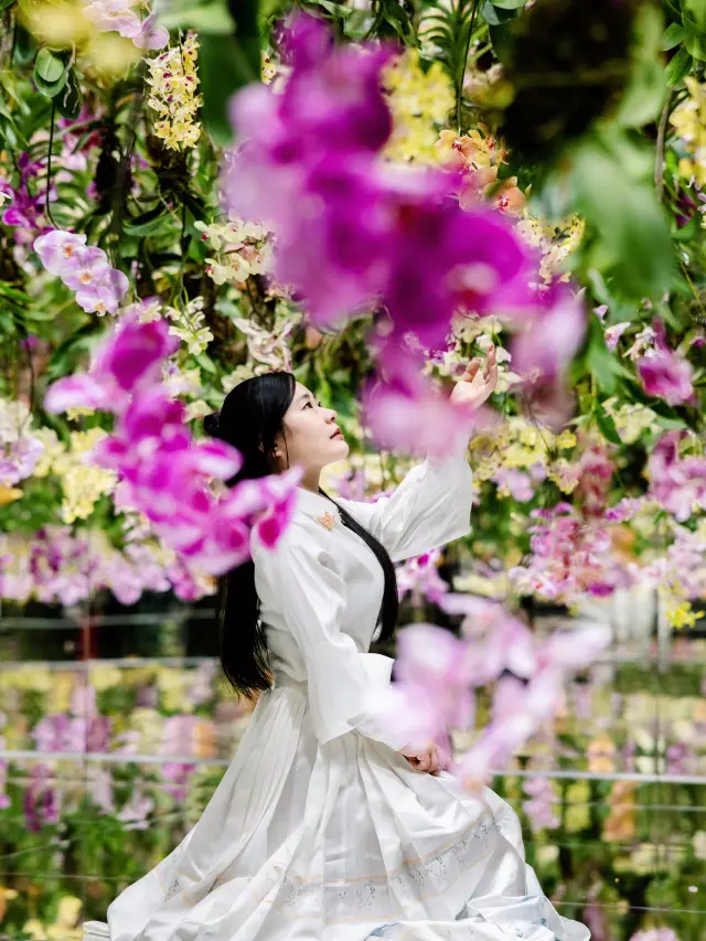 ฉันได้เมามันกับแสงสีและกลิ่นชาในโลกแห่งดอกไม้ที่ TeamLab มาเก๊า!