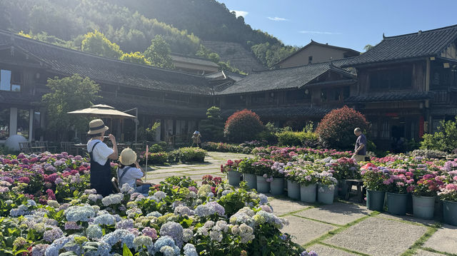 泰順最新自駕網紅打卡地、筱村公社最值票價的人像拍照景點