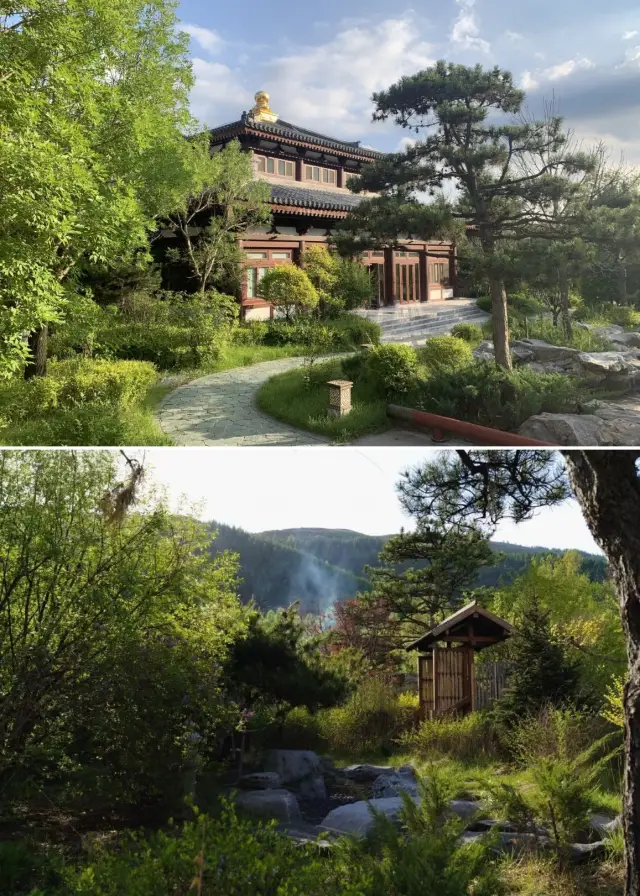 Mount Wutai in Shanxi: A Summer Retreat Guide | Escape into a Secluded Tang Dynasty Mansion