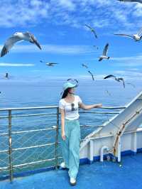 海獺島太美了不愧是海鷗的王國