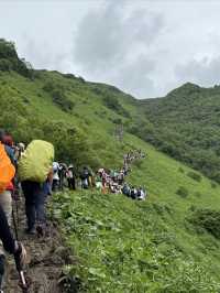 這波九頂山賺麻了