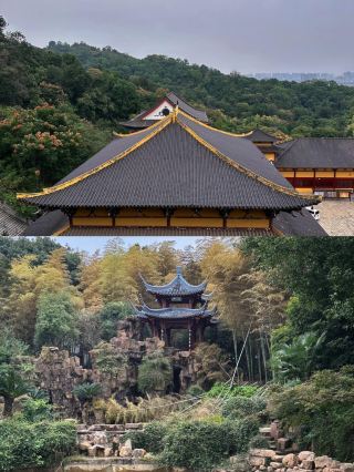 不是老君山！！武漢周邊被嚴重低估的仙山