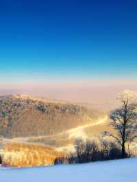 🏔️ Chill Vibes & Ski Thrills at Westin Changbaishan 🎿