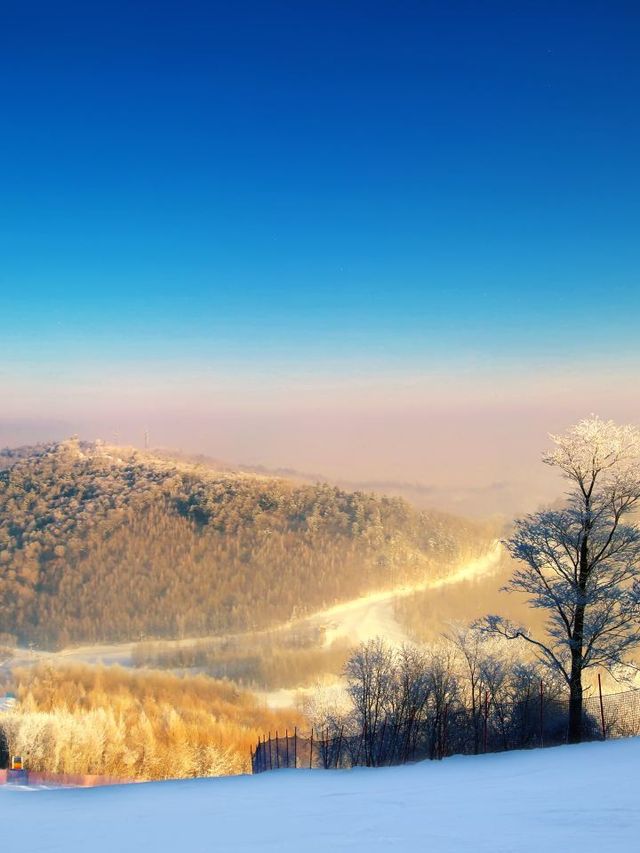 🏔️ Chill Vibes & Ski Thrills at Westin Changbaishan 🎿