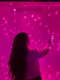 Shanghai Ocean Aquarium: Underwater Wonders