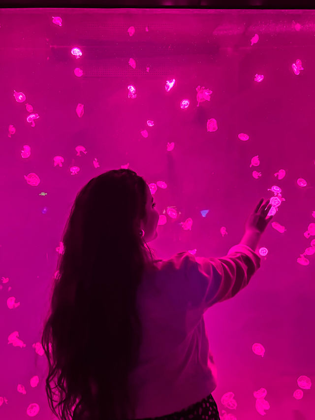 Shanghai Ocean Aquarium: Underwater Wonders