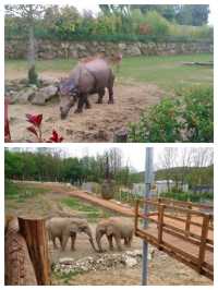 法國聖艾尼昂博瓦爾動物園