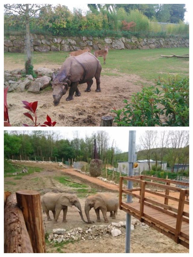 法國聖艾尼昂博瓦爾動物園