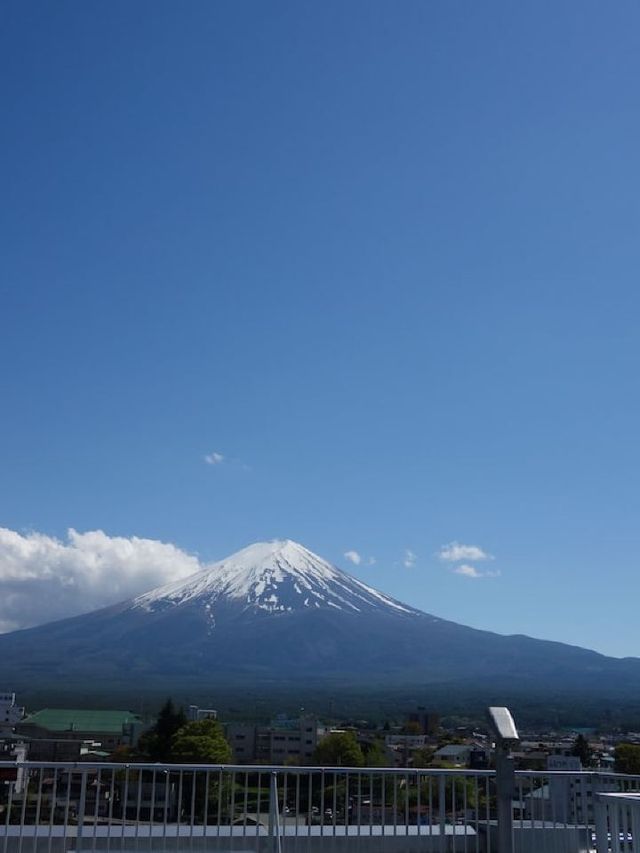 🍁🗻 Serenity & Delights at Fuji's Konansou 🌸✨