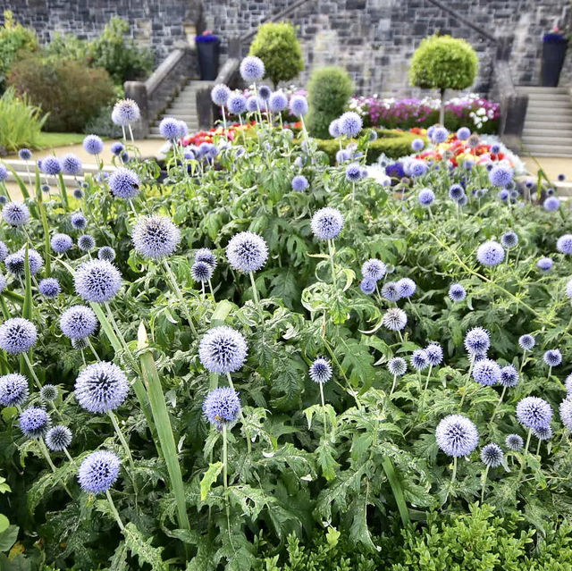 Belfast Castle