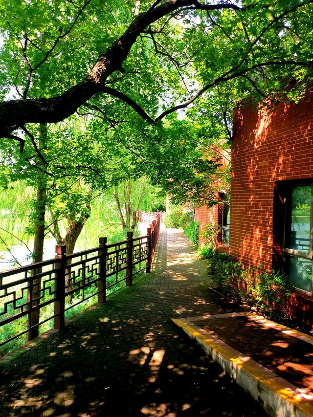 北坞公園