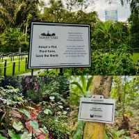 Hidden Hiking Trail in the city 🌳Taman Tugu Kuala Lumpur