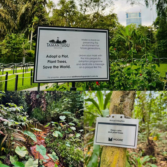 Hidden Hiking Trail in the city 🌳Taman Tugu Kuala Lumpur