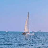 【廈門水上活動】🚤坐遊艇出海，在海上看金門，還有機會偶遇白海豚🐬！