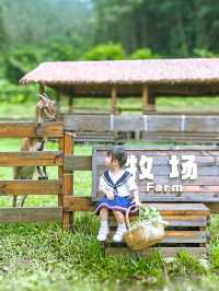 惠州小眾度假|誤闖小松鼠的家。