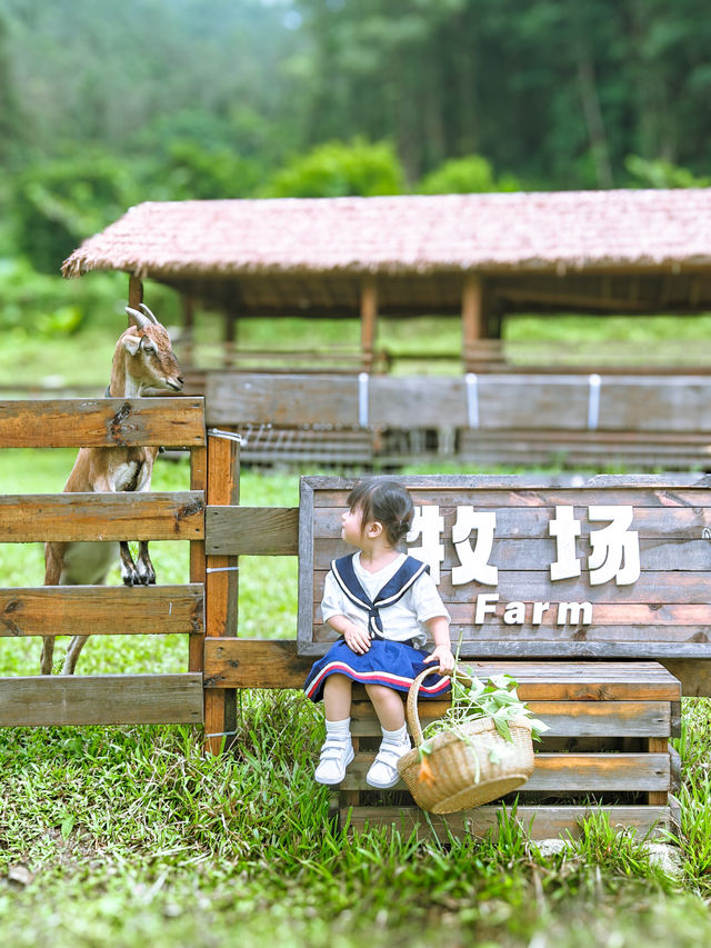 惠州小眾度假|誤闖小松鼠的家。