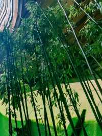 溧陽市博物館是一所展示溧陽歷史文化的綜合性博物館。