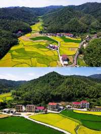 斑麓·高岭宿集，銀杉古村，治癒系民宿，靜享山林時光。