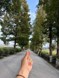 汉中1小時車程的免費小眾露營地,適合帶小朋友玩樂及垂釣。