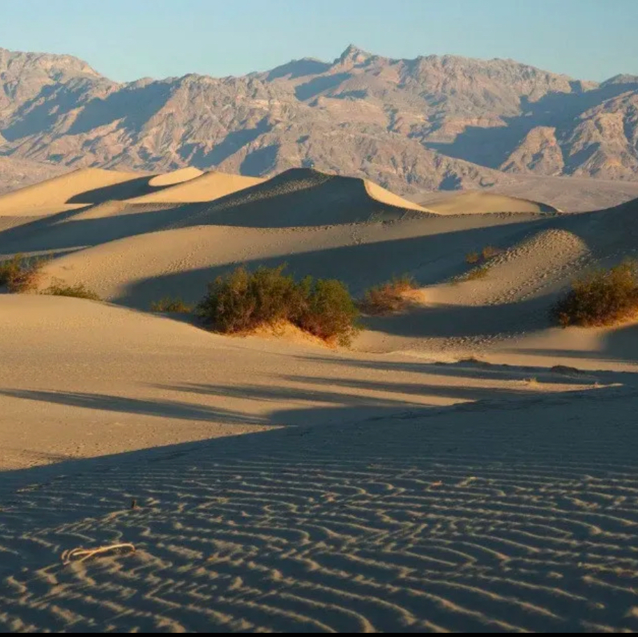 Gobi desert in Mongolia China 