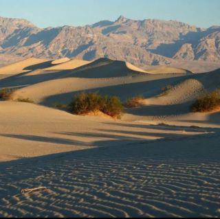 Gobi desert in Mongolia China 