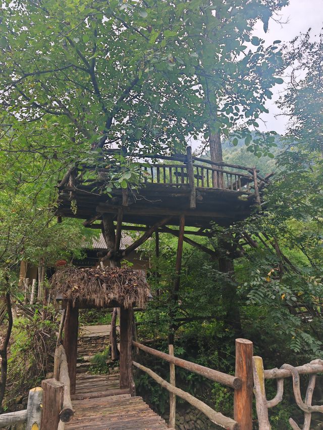 西安周邊遊｜商洛秦嶺江山景區。