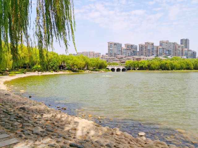 唐朝遗址的自然生態。