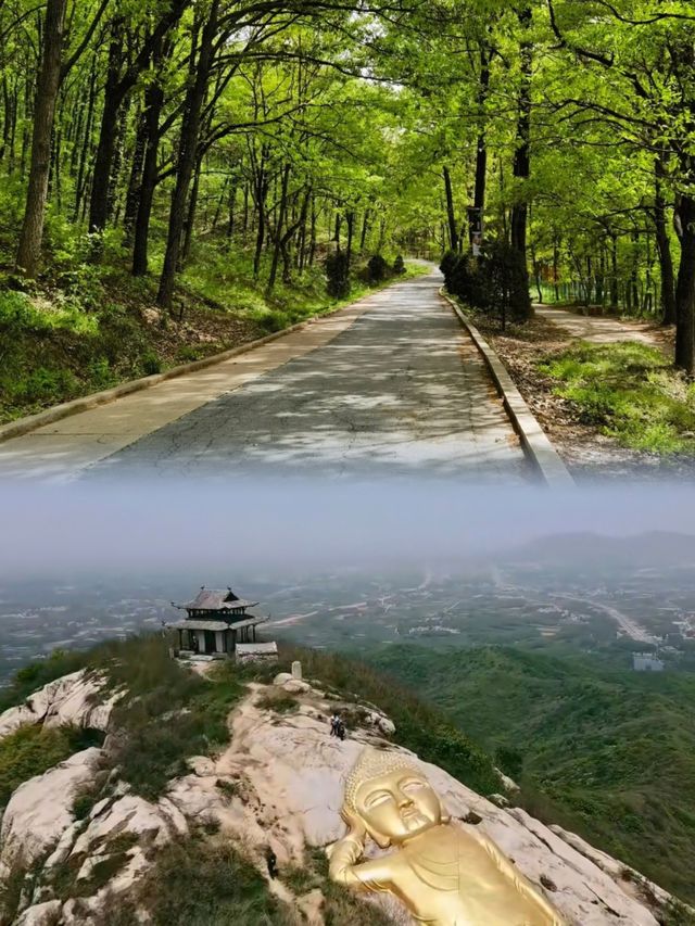 答案在路上，自由在旅途中。