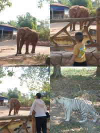 重慶自己的野生動物園您確定不帶孩子來玩嗎？。